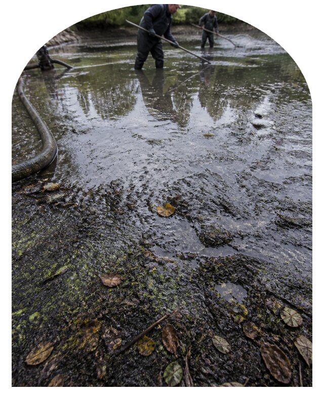 Очистка пруда в Глазове от ила мусора и водорослей с вывозом